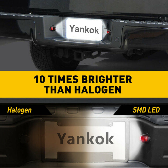 Yankok LED License Plate Lights  Ford Focus C-Max MK1 and Focus MK2